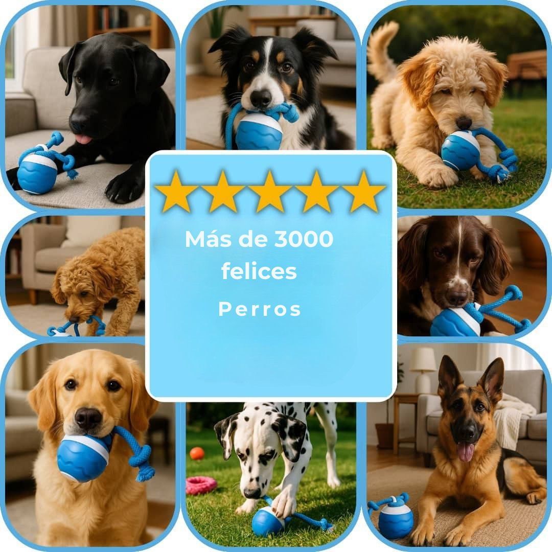 La pelota de frambuesa - Juguete interactivo para perros