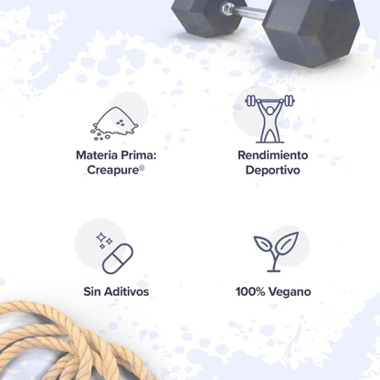 Creatina Monohidrato en Polvo de Alta Pureza – Suplemento Micronizado de 500 g