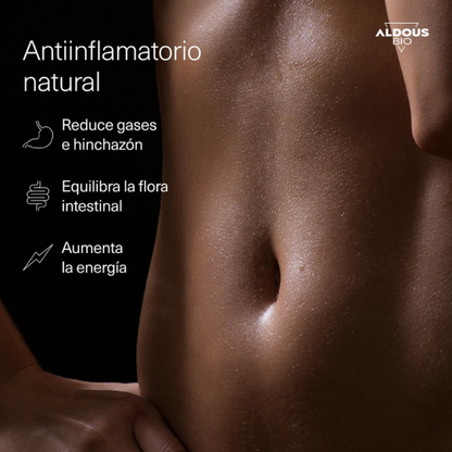 Cápsulas Veganas de Cúrcuma con Probióticos, Jengibre y Pimienta Negra – 1460 mg – Antiinflamatorio Natural