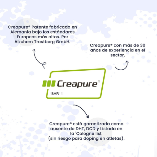 Creatina Monohidrato en Polvo de Alta Pureza – Suplemento Micronizado de 500 g