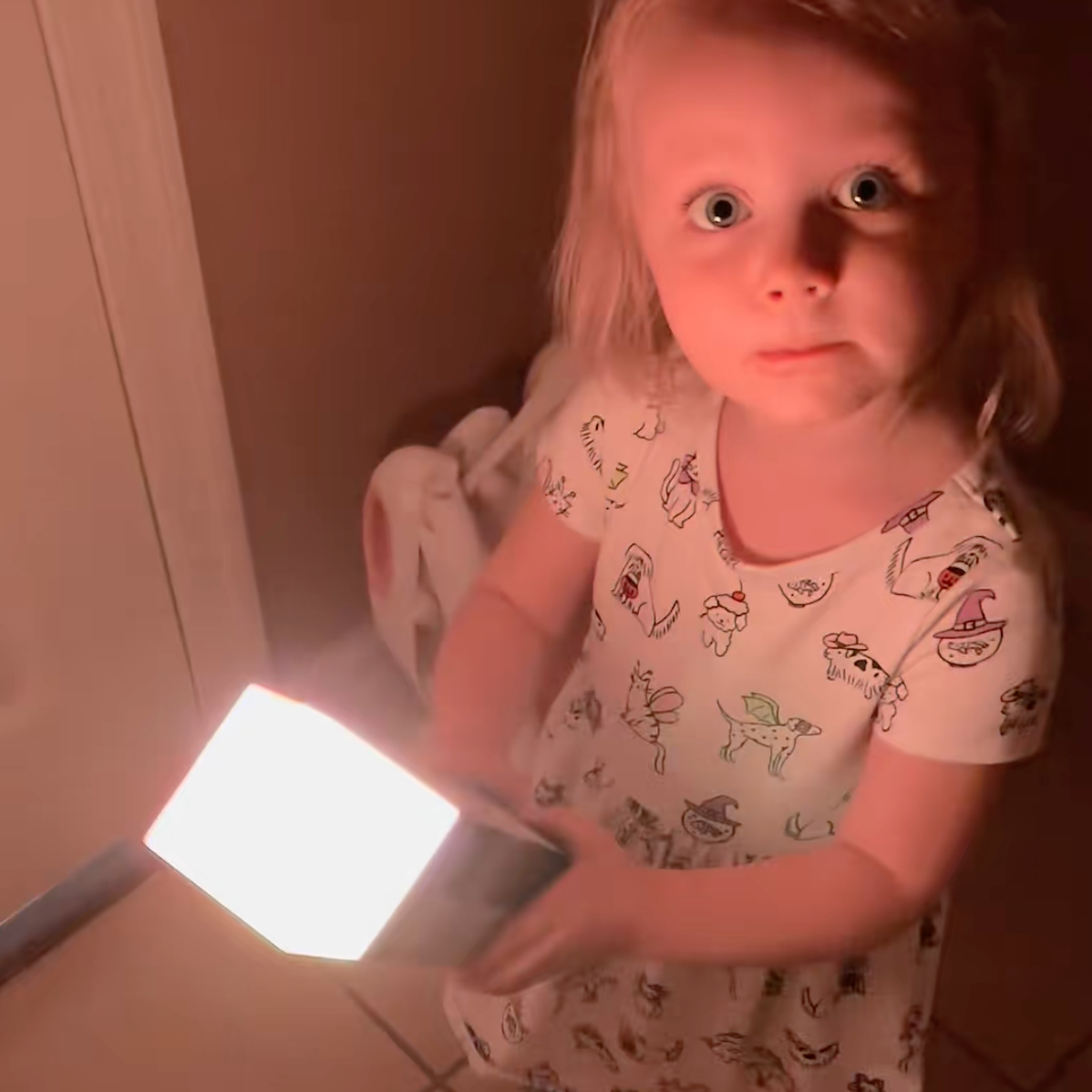 Pixel Torch: Minecraft de la pantalla a la realidad