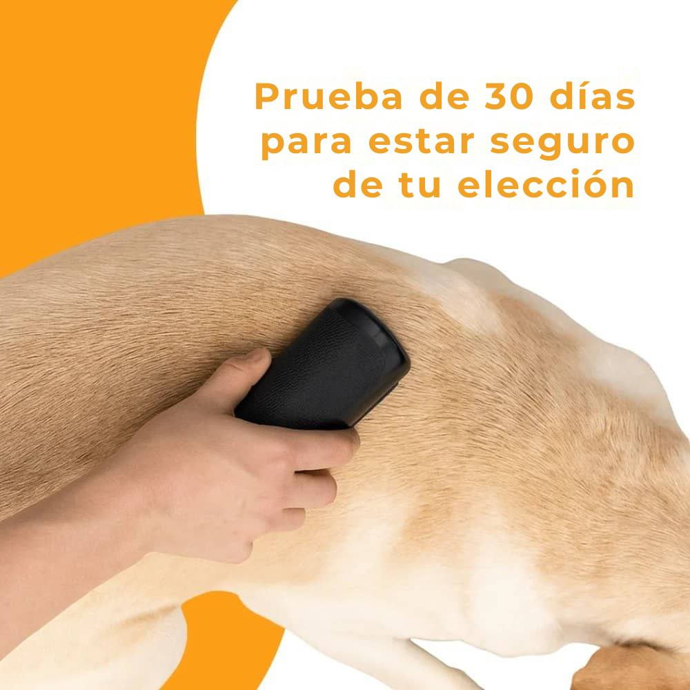 Cepillo para perros