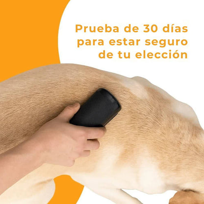 Cepillo para perros