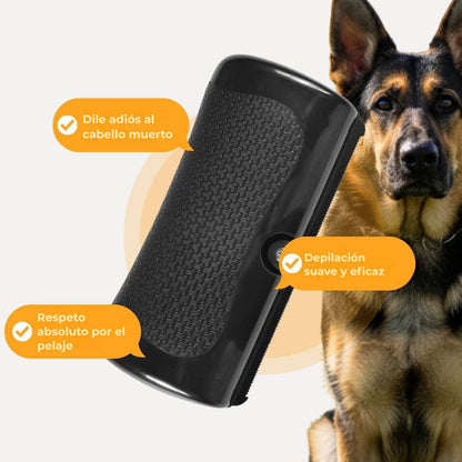 Cepillo para perros