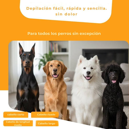 Cepillo para perros